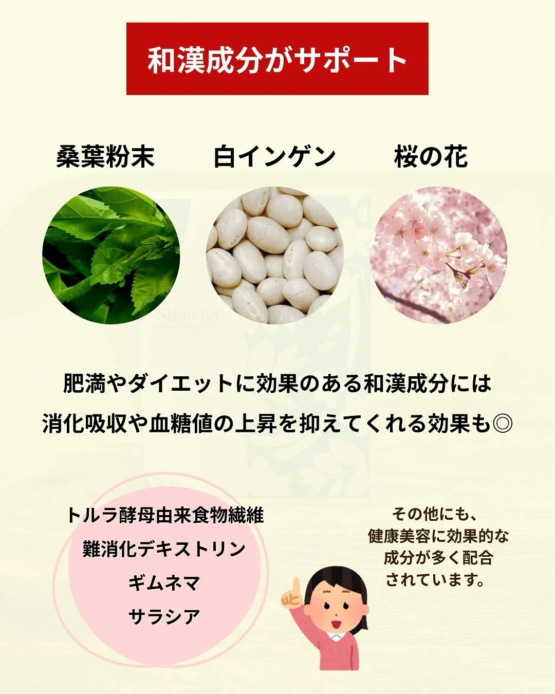 【Slimeleyカッティー】で無理なくダイエット