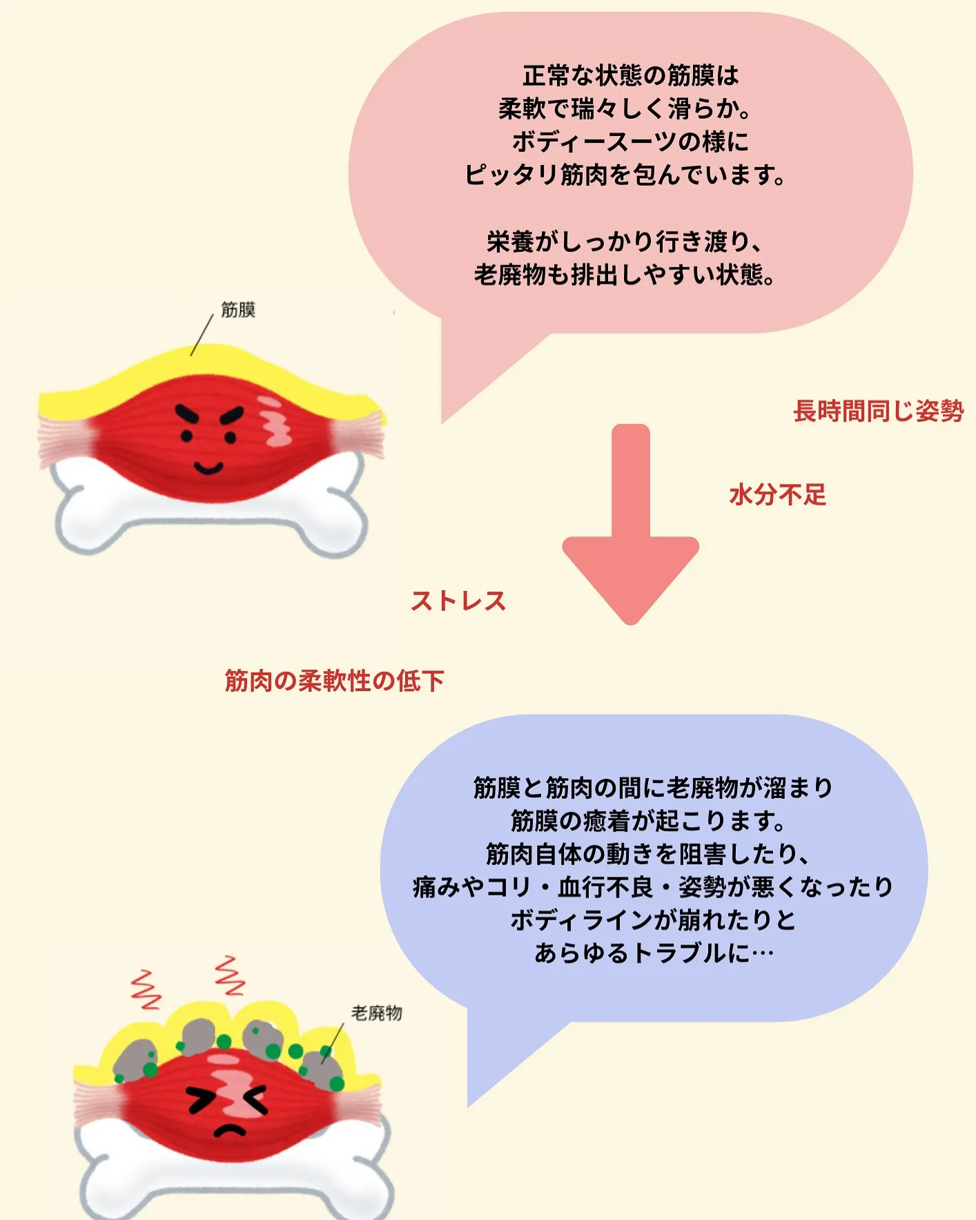 こんにちは(^^)